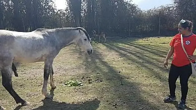 hot brazilian women want to eat look for me